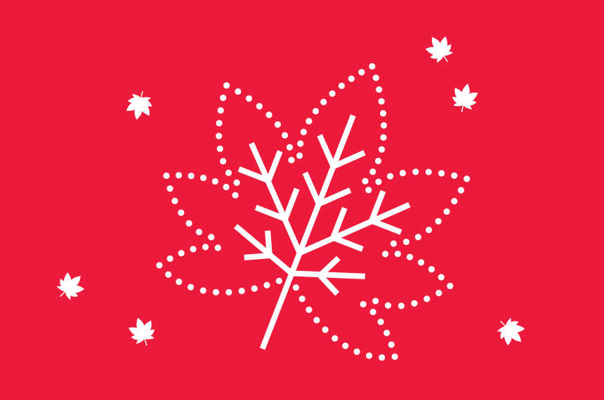 Ein tragisches Bild von einem Baum-Blatt.